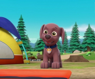 Paw Patrol, la Pat'Patrouille - Pilotes de haut-vol