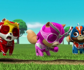 Compilation Paw Patrol, la Pat'Patrouille 6