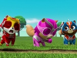 Paw Patrol, la Pat'Patrouille