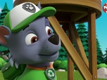 Paw Patrol, la Pat'Patrouille