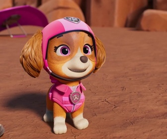Paw Patrol, la Pat'Patrouille - Sur la route avec Stella : Un concert dans le désert