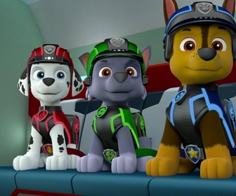 Paw Patrol, la Pat'Patrouille - Mission Paw / Mission Secrète : Le trône royal