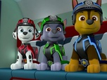Paw Patrol, la Pat'Patrouille