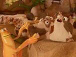Les as de la jungle à la rescousse