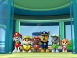 Paw Patrol, la Pat'Patrouille