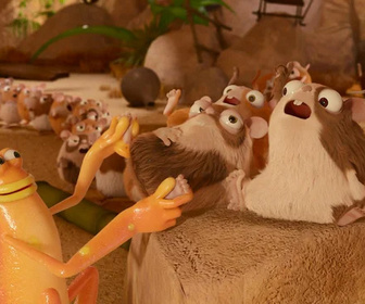 Les as de la jungle à la rescousse - 13/03/2026