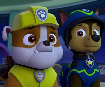 Paw Patrol, la Pat'Patrouille - Le fantôme de la mare aux grenouilles