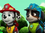 Paw Patrol, la Pat'Patrouille Paw Patrol, la Pat'Patrouille