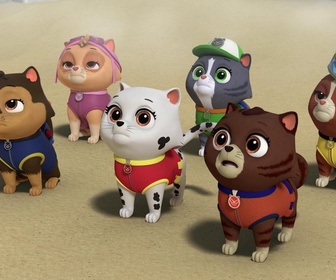 Paw Patrol, la Pat'Patrouille - Les drones de M. Hellinger