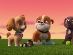 Paw Patrol, la Pat'Patrouille