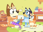 Bluey Bluey
