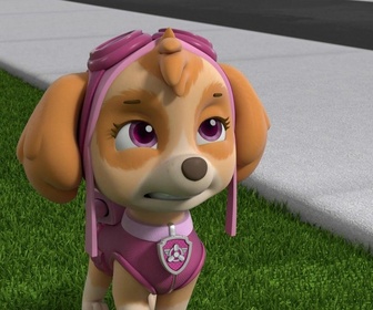 Paw Patrol, la Pat'Patrouille - La forteresse en carton