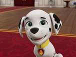 Paw Patrol, la Pat'Patrouille