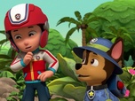 Paw Patrol, la Pat'Patrouille Paw Patrol, la Pat'Patrouille