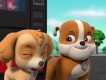 Paw Patrol, la Pat'Patrouille Paw Patrol, la Pat'Patrouille