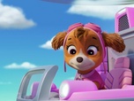 Paw Patrol, la Pat'Patrouille