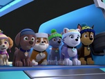 Paw Patrol, la Pat'Patrouille