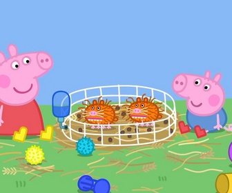 Peppa Pig - S9 E38 - Les cochons d'inde