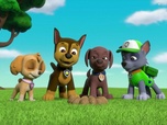 Paw Patrol, la Pat'Patrouille Paw Patrol, la Pat'Patrouille