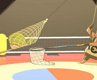 Molusco - 12/02/2024