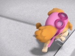 Paw Patrol, la Pat'Patrouille