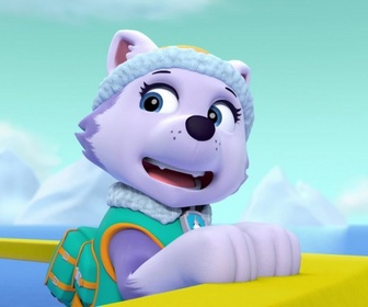 Paw Patrol, la Pat'Patrouille - La Pat'Patrouille des Mers sauve la limande