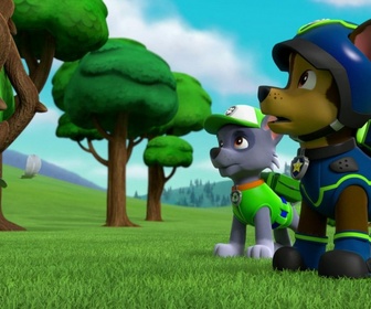 Paw Patrol, la Pat'Patrouille - La Pat'Patrouille sauve Galinetta