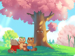 Taki Tanuki