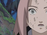 Naruto Naruto
