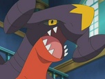 Pokémon Pokémon