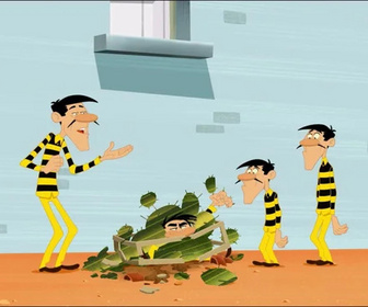 Les Dalton - 29/01/2026