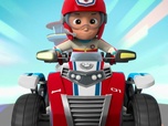 Paw Patrol, la Pat'Patrouille