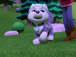 Paw Patrol, la Pat'Patrouille