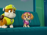 Paw Patrol, la Pat'Patrouille
