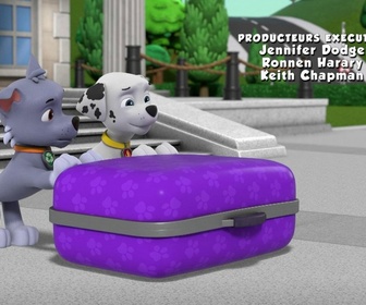 Paw Patrol, la Pat'Patrouille - Le trésor du Palais de Glace