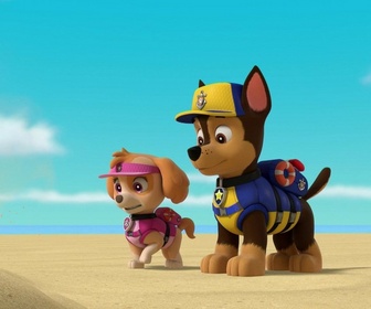 Paw Patrol, la Pat'Patrouille - La Pat'Patrouille des Mers : L'île des tortues