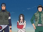 Naruto Shippuden