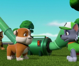 Paw Patrol, la Pat'Patrouille - Sauvons les saumons !