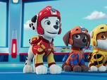Paw Patrol, la Pat'Patrouille Paw Patrol, la Pat'Patrouille
