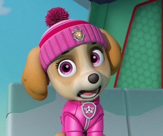 Paw Patrol, la Pat'Patrouille - La Pat'Patrouille des Mers sauve la limande