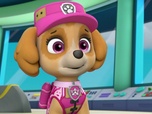 Paw Patrol, la Pat'Patrouille Paw Patrol, la Pat'Patrouille