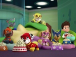 Paw Patrol, la Pat'Patrouille