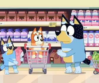 Bluey - 07/05/2026