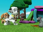 Paw Patrol, la Pat'Patrouille