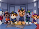 Paw Patrol, la Pat'Patrouille