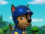 Paw Patrol, la Pat'Patrouille