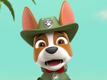 Paw Patrol, la Pat'Patrouille Paw Patrol, la Pat'Patrouille