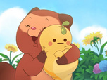 Taki Tanuki