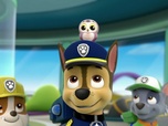 Paw Patrol, la Pat'Patrouille Paw Patrol, la Pat'Patrouille
