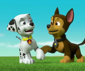 Paw Patrol, la Pat'Patrouille - La Super Patrouille : Les statues de glace
